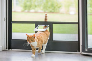 Insektenschutz Klappe Katze Hund&hellip;
